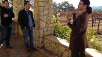 Excursão em utilitário particular de Napa Valley ou Sonoma Valley Excursão em utilitário particular de Napa Valley ou Sonoma Valley