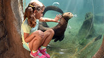 Zoo von Miami, normaler Eintritt mit Upgrade für Monorail und Fütterung der Tiere Zoo von Miami, normaler Eintritt mit Upgrade für Monorail und Fütterung der Tiere