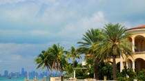 Tour combinato di Miami: visita della Città, crociera nella Baia di Biscayne e giro in idroscivolante nelle Everglade Tour combinato di Miami: visita della Città, crociera nella Baia di Biscayne e giro in idroscivolante nelle Everglade