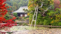 Excursión privada a pie en Kioto con un guía experto: jardines japoneses y paisajes Excursión privada a pie en Kioto con un guía experto: jardines japoneses y paisajes