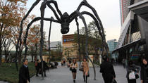 Recorrido a pie sobre la arquitectura dirigido por un experto: Harajuku, Omotesando y Roppongi Recorrido a pie sobre la arquitectura dirigido por un experto: Harajuku, Omotesando y Roppongi