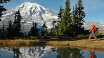 Experiência para grupos pequenos em Mt. Rainier incluindo Caminhada ou Caminhada com Raquete de Neve e Almoço ou Jantar Experiência para grupos pequenos em Mt. Rainier incluindo Caminhada ou Caminhada com Raquete de Neve e Almoço ou Jantar