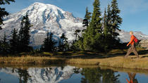 Visite en petit groupe avec déjeuner au mont Rainier Visite en petit groupe avec déjeuner au mont Rainier