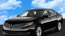 Privat transfer-transport ved ankomst: New York-lufthavne til Brooklyn Privat transfer-transport ved ankomst: New York-lufthavne til Brooklyn