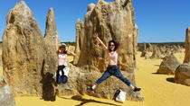 Ganztägige Tour: Pinnacles-Wüste und Yanchep-Nationalpark ab Perth Ganztägige Tour: Pinnacles-Wüste und Yanchep-Nationalpark ab Perth