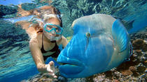 2-daagse combotour vanuit Cairns: Great Barrier Reef Cruise en Kuranda 2-daagse combotour vanuit Cairns: Great Barrier Reef Cruise en Kuranda