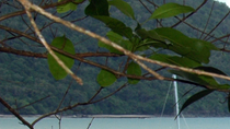 Visite en petit groupe de 2 jours de Cape Tribulation et de la forêt tropicale de Daintree au départ de Cairns ou Port Douglas Visite en petit groupe de 2 jours de Cape Tribulation et de la forêt tropicale de Daintree au départ de Cairns ou Port Douglas
