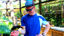 Exklusivt för Viator: Behind-the-Scenes-rundtur på Wild Florida Exklusivt för Viator: Behind-the-Scenes-rundtur på Wild Florida