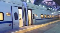 Traslado privado a la llegada: Estación de tren de Roma al hotel Traslado privado a la llegada: Estación de tren de Roma al hotel