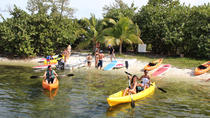Location de kayak et de planche à bras à Coconut Grove Location de kayak et de planche à bras à Coconut Grove