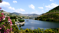 Tour per piccoli gruppi nella valle del Douro con degustazione di vino, pranzo portoghese e crociera sul fiume facoltativa Tour per piccoli gruppi nella valle del Douro con degustazione di vino, pranzo portoghese e crociera sul fiume facoltativa