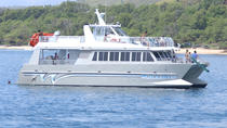 Delfin- und Schnorchelabenteuer von Lahaina nach Lanai Delfin- und Schnorchelabenteuer von Lahaina nach Lanai