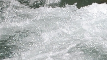 Nage en eau vive sur le Rio Bueno en Jamaïque Nage en eau vive sur le Rio Bueno en Jamaïque