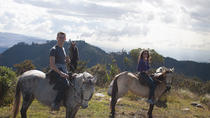 Aventura a cavalo em Bogotá Aventura a cavalo em Bogotá