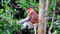 Ganztägig Brunei erleben – Stadtrundfahrt – Wasserdorf und Mangroven-Safari Ganztägig Brunei erleben – Stadtrundfahrt – Wasserdorf und Mangroven-Safari