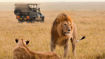 15 Tage Südafrika: Kruger und die Garden Route von Johannesburg nach Kapstadt 15 Tage Südafrika: Kruger und die Garden Route von Johannesburg nach Kapstadt