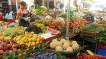 Vandretur i Rom med mindre gruppe: Trastevere, Campo de' Fiori og den jødiske ghetto Vandretur i Rom med mindre gruppe: Trastevere, Campo de' Fiori og den jødiske ghetto