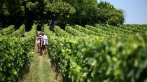 Burdeos Super Saver: Recorrido vinícola por Médoc con almuerzo y St-Emilion o Graves Burdeos Super Saver: Recorrido vinícola por Médoc con almuerzo y St-Emilion o Graves