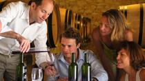 Excursão privada: Degustação de Vinho des Châteaux na Rota de St-Emilion saindo de Bordeaux Excursão privada: Degustação de Vinho des Châteaux na Rota de St-Emilion saindo de Bordeaux