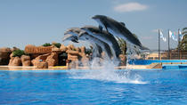 Billet pour le parc aquatique Marineland et le spectacle des dauphins avec transport au départ de la Costa Brava Billet pour le parc aquatique Marineland et le spectacle des dauphins avec transport au départ de la Costa Brava