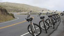 マウイでのハレアカラの自転車とジップラインの冒険 マウイでのハレアカラの自転車とジップラインの冒険