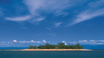 Croisière et plongée à Low Iles l'après-midi au départ de Port Douglas Croisière et plongée à Low Iles l'après-midi au départ de Port Douglas