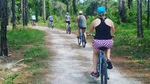 Tour en bicicleta por la reserva natural de Boyd Hill desde St Petersburg Tour en bicicleta por la reserva natural de Boyd Hill desde St Petersburg