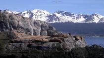 Excursão de navegação em iate pelo estreito de Beagle saindo de Ushuaia Excursão de navegação em iate pelo estreito de Beagle saindo de Ushuaia