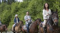 Excursión a caballo en Bariloche con asado tradicional argentino Excursión a caballo en Bariloche con asado tradicional argentino