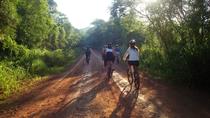 Passeio de bicicleta Iguazú até a estrada Yaguareté desde Puerto Iguazú, Puerto Iguazú