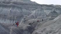 Recorrido de senderismo por el Bosque Petrificado La Leona desde El Calafate Recorrido de senderismo por el Bosque Petrificado La Leona desde El Calafate