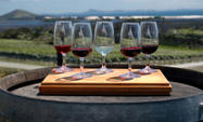 Excursão de degustação de vinho em Maipú saindo de Mendoza, incluindo a vinícola Trapiche, Mendoza