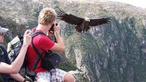 Mendoza-trekkingtur i Cordón del Plata med argentinsk Asado-frokost Mendoza-trekkingtur i Cordón del Plata med argentinsk Asado-frokost