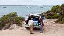 Tour per piccoli gruppi di Kangaroo Island in fuoristrada da Adelaide Tour per piccoli gruppi di Kangaroo Island in fuoristrada da Adelaide