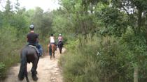 Tour a cavallo in un parco naturale da Barcellona Tour a cavallo in un parco naturale da Barcellona
