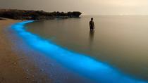Baignade avec le plancton phosphorescent Baignade avec le plancton phosphorescent