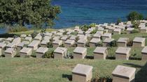 Excursão de 6 Noites do Dia ANZAC e por Troia partindo de Istambul: Serviço de Amanhecer ANZAC, Gallipoli, Istambul e Antiga Troia Excursão de 6 Noites do Dia ANZAC e por Troia partindo de Istambul: Serviço de Amanhecer ANZAC, Gallipoli, Istambul e Antiga Troia