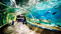 Viagem independente para compras em Aqua Florya e Aquário de Istambul Viagem independente para compras em Aqua Florya e Aquário de Istambul