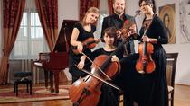 Krakau kerstconcert met wijn Krakau kerstconcert met wijn