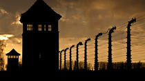 Krakow Super Saver: gita di mezza giornata ad Auschwitz-Birkenau più gita di mezza giornata alle Miniere di Sale di Wieliczka Krakow Super Saver: gita di mezza giornata ad Auschwitz-Birkenau più gita di mezza giornata alle Miniere di Sale di Wieliczka