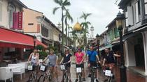 Historische Fahrradtour durch Singapur Historische Fahrradtour durch Singapur
