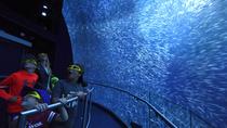 Rencontre National Geographic: Ocean Odyssey Admission Rencontre National Geographic: Ocean Odyssey Admission