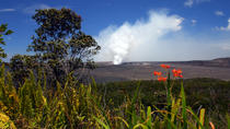 Aventura Ecológica de um dia ao Vulcão do Havaí saindo de Oahu Aventura Ecológica de um dia ao Vulcão do Havaí saindo de Oahu
