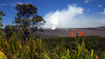 Dagsrundtur med ekologiskt vulkanäventyr på Hawaii från Oahu Dagsrundtur med ekologiskt vulkanäventyr på Hawaii från Oahu