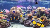 Keine Warteschlangen: Eintrittskarte SEA LIFE Speyer Keine Warteschlangen: Eintrittskarte SEA LIFE Speyer