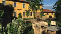 Tour privato: pranzo e degustazione di vino in un vigneto romano Tour privato: pranzo e degustazione di vino in un vigneto romano