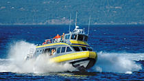 Crociera con avvistamento delle balene da Vancouver a Victoria Crociera con avvistamento delle balene da Vancouver a Victoria