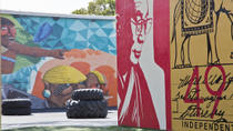 Tour artistico di Miami: quartiere del design, centro città e Wynwood Tour artistico di Miami: quartiere del design, centro città e Wynwood