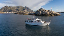 Croisière époustouflante dans les fjords à bord d'un yacht présidentiel Croisière époustouflante dans les fjords à bord d'un yacht présidentiel
