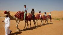 Safari à dos de chameau d'une matinée au départ de Dubaï Safari à dos de chameau d'une matinée au départ de Dubaï